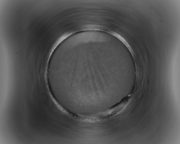 X0000086220901200704261834