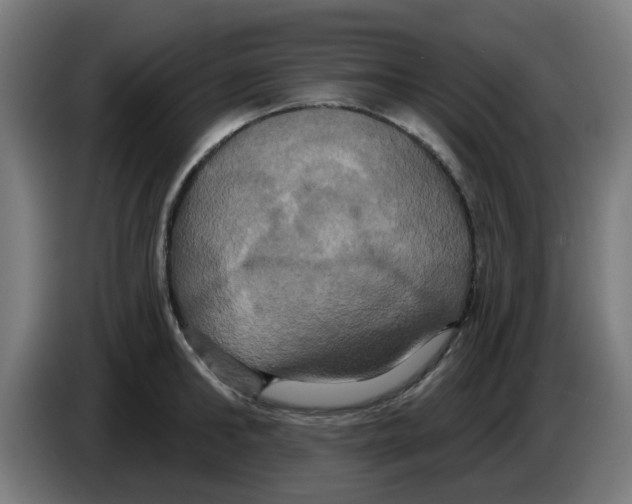 X0000086220902200704261834