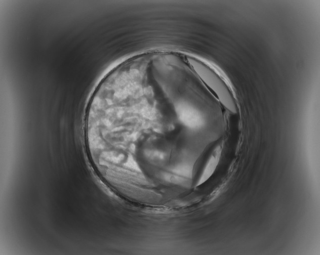 X0000086220903200704261834