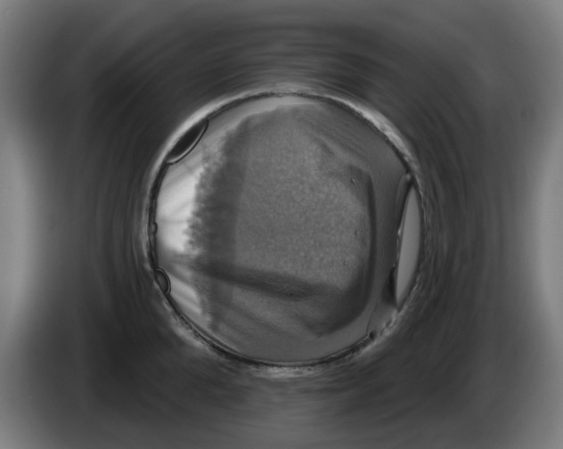 X0000086220904200704261834