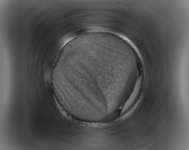 X0000086220905200704261834