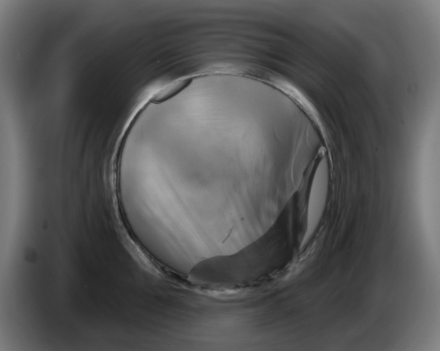 X0000086220907200704261834