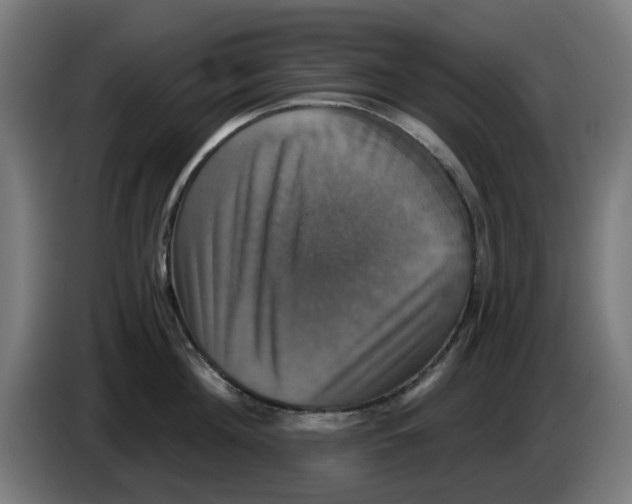 X0000086220908200704261834