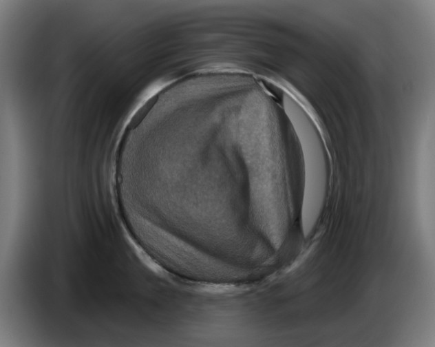 X0000086220909200704261834