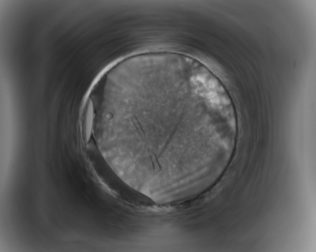 X0000086220912200704261834