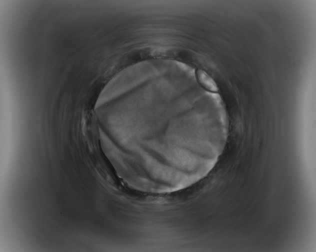 X0000086220914200704261833