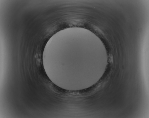 X0000086220915200704261833