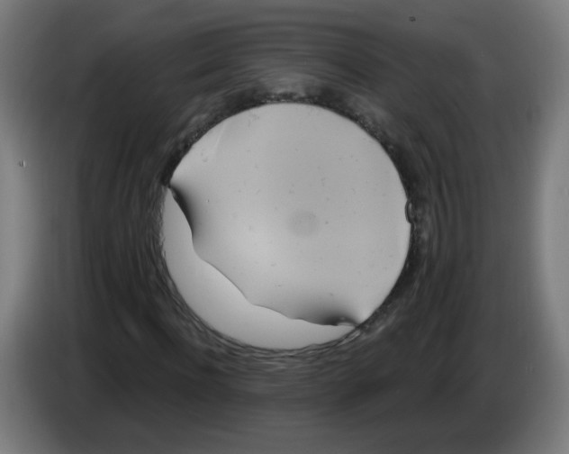 X0000086220916200704261833