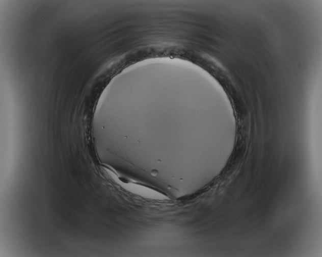 X0000086220919200704261833