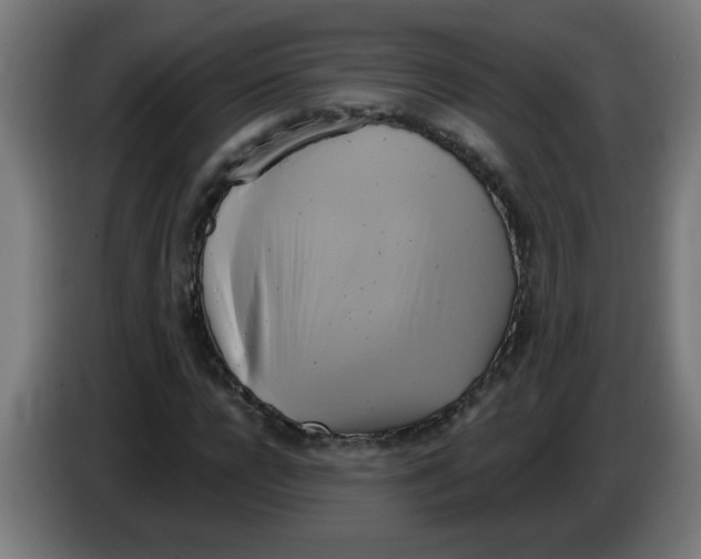 X0000086220920200704261833