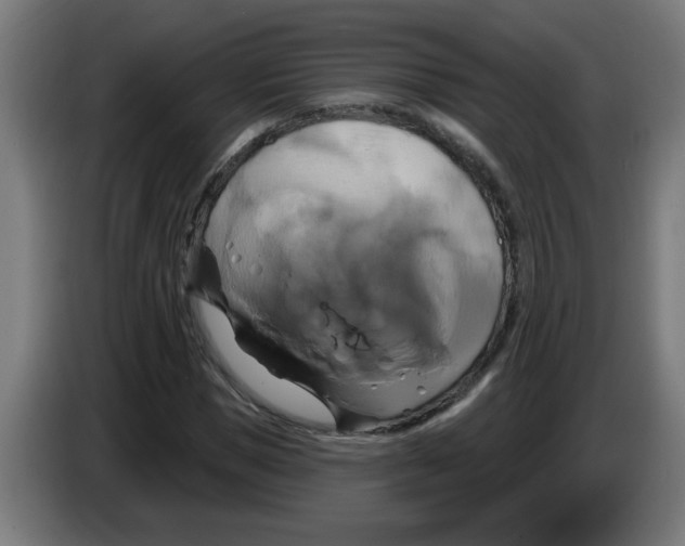 X0000086220921200704261833