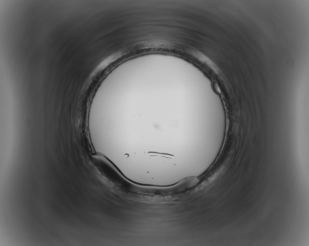 X0000086220922200704261833