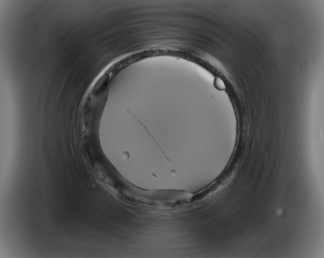 X0000086220923200704261833