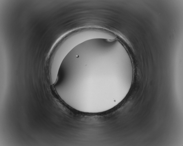 X0000086220926200704261833