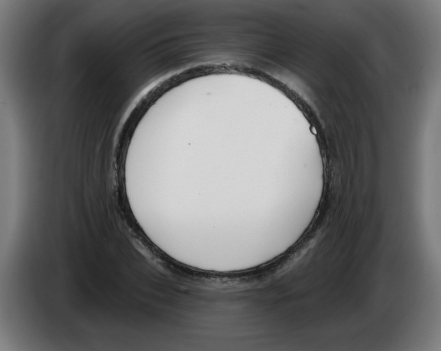 X0000086220927200704261833