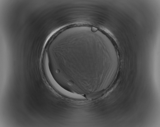 X0000086220928200704261833