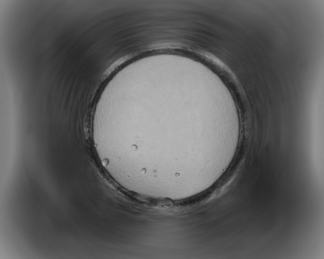 X0000086220929200704261833