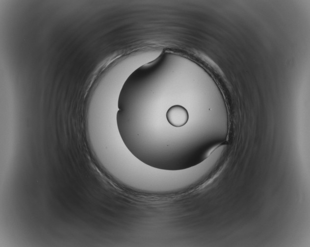 X0000086220930200704261833