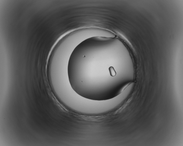 X0000086220932200704261833