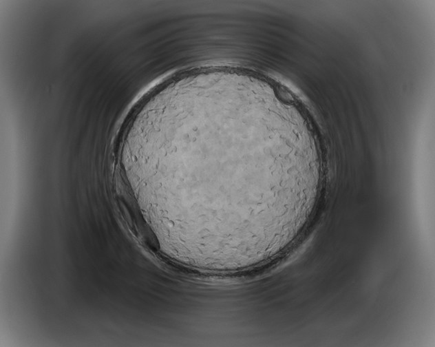 X0000086220933200704261833