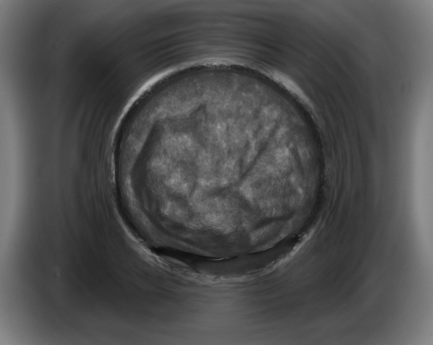 X0000086220934200704261833