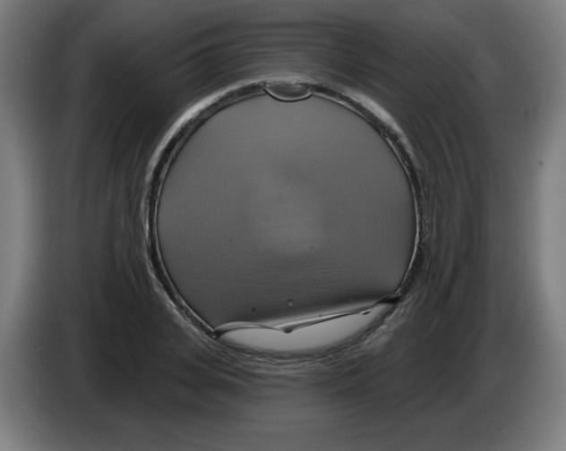 X0000086220935200704261833