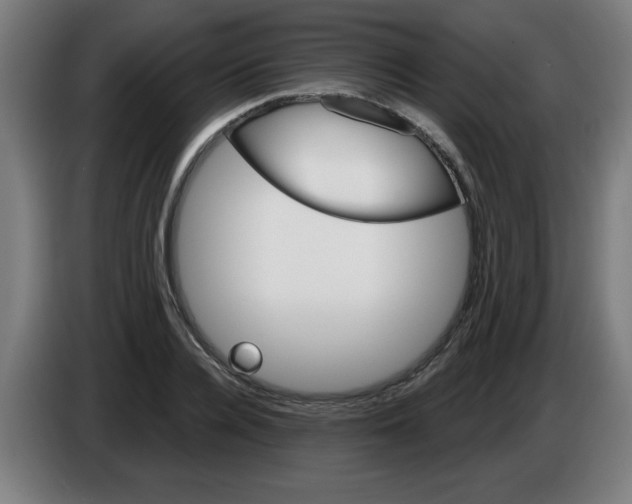 X0000086220936200704261833