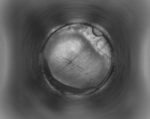 X0000086220937200704261833