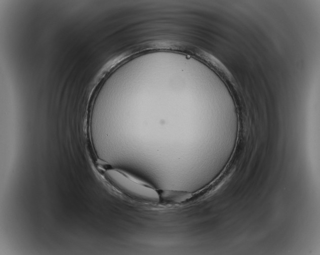 X0000086220938200704261833