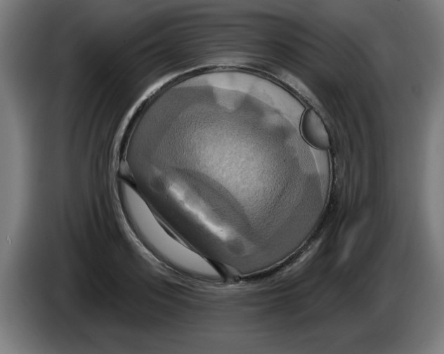 X0000086220939200704261833