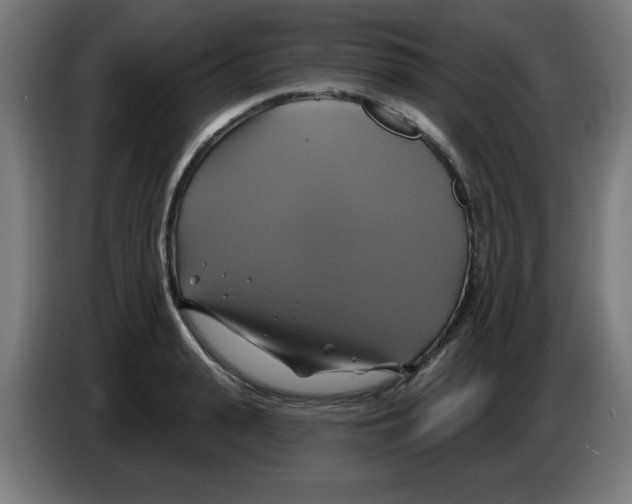 X0000086220943200704261833