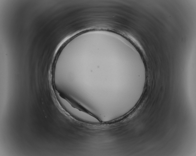 X0000086220944200704261833