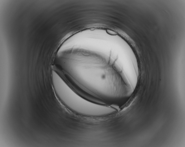 X0000086220945200704261833