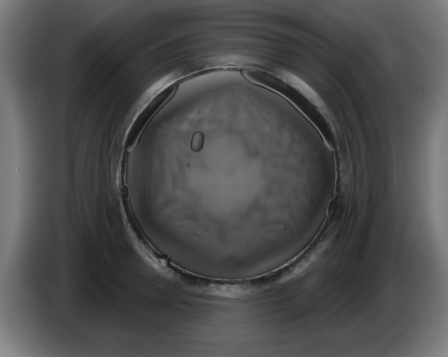 X0000086220946200704261833