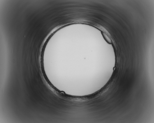 X0000086220947200704261833