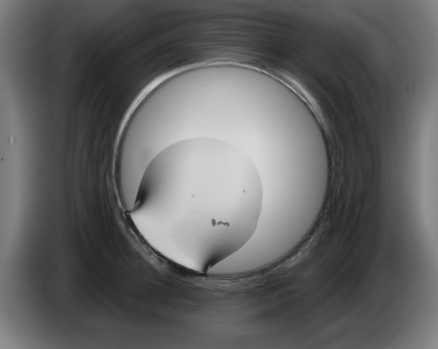 X0000086220948200704261833