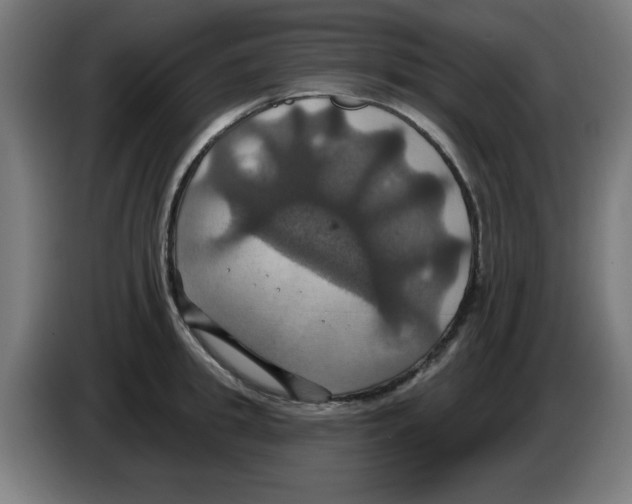 X0000086220949200704261833