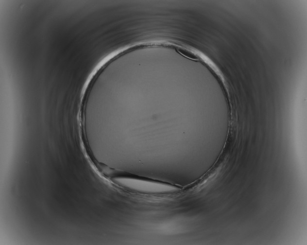 X0000086220951200704261833