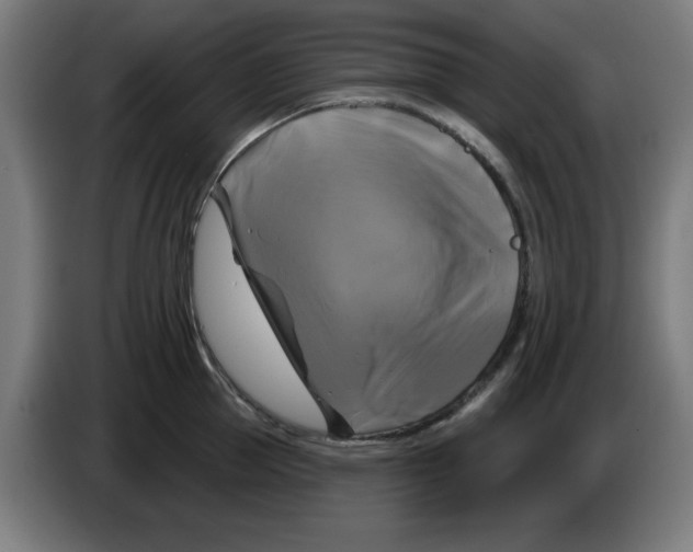 X0000086220953200704261833