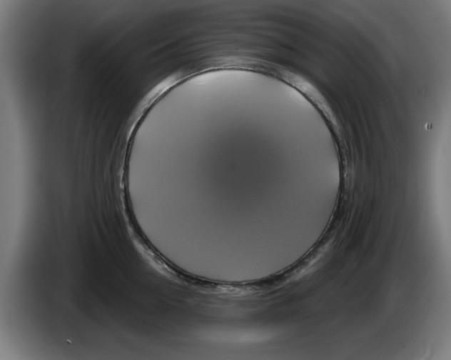 X0000086220954200704261833