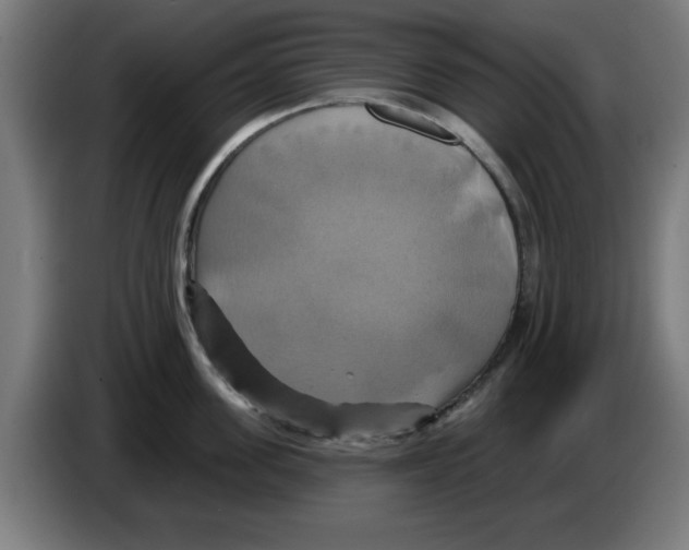 X0000086220955200704261833