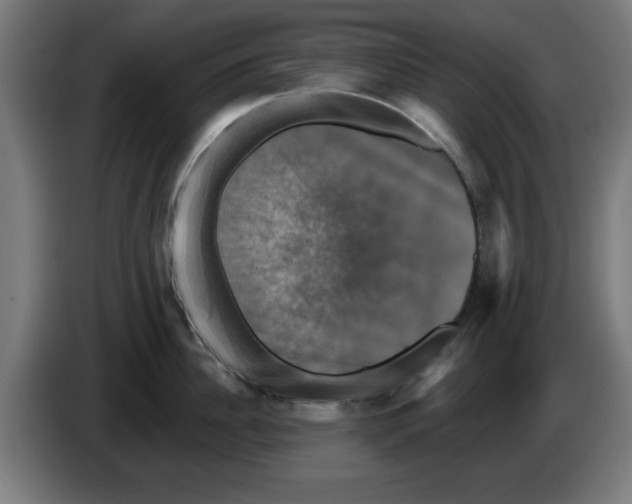 X0000086220956200704261833