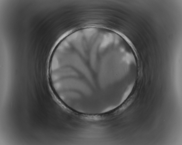 X0000086220957200704261833