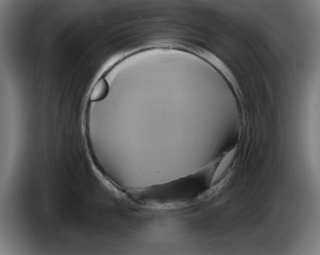 X0000086220958200704261833