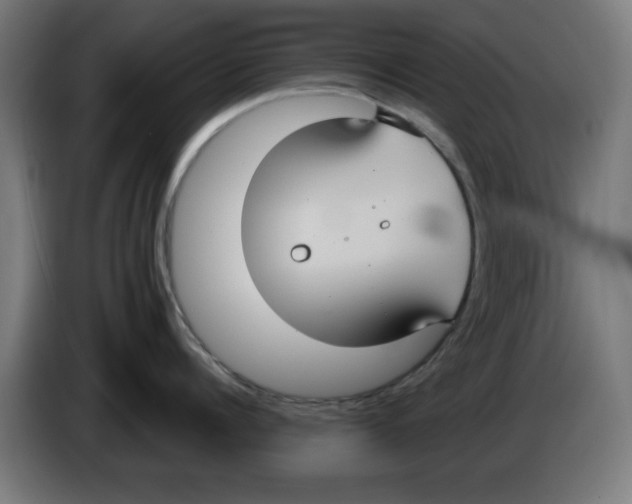 X0000086220960200704261834