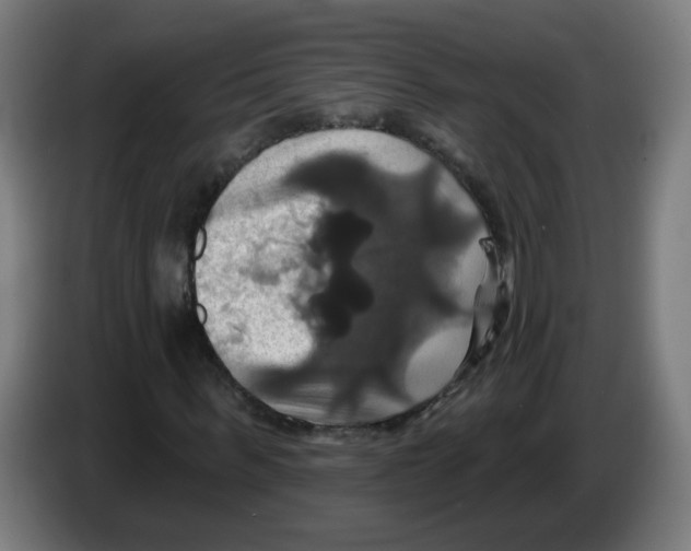 X0000086220963200704261833