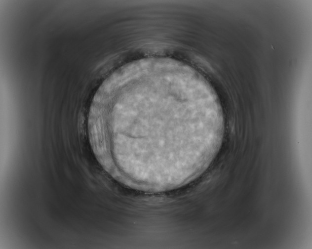 X0000086220964200704261833