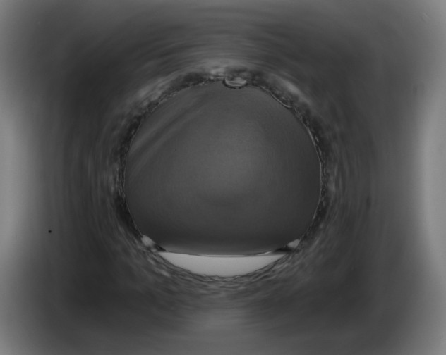 X0000086220965200704261833