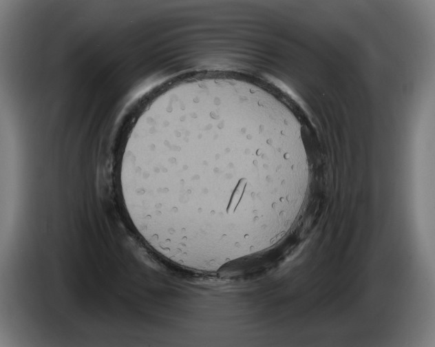 X0000086220971200704261833