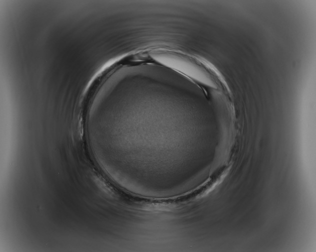 X0000086220973200704261833